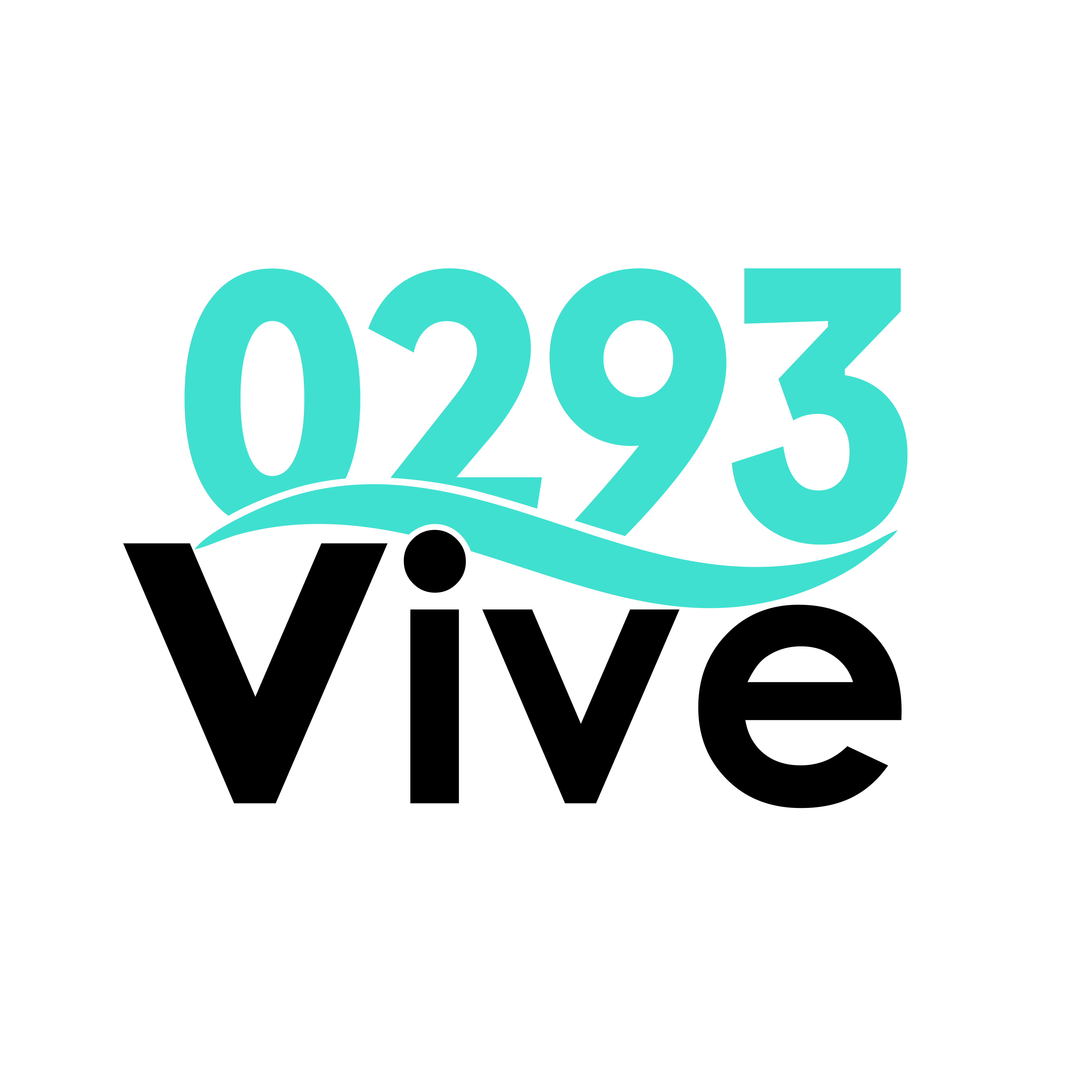0293Vive